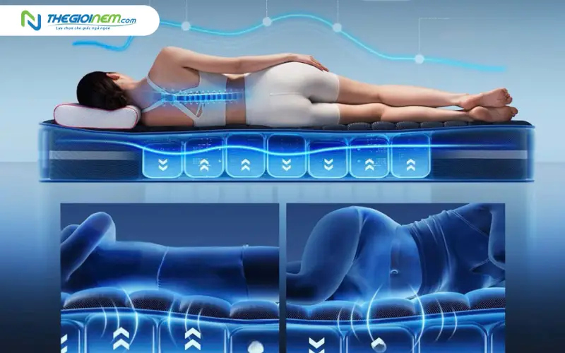 Cơ chế hoạt động của thuật toán AI trong việc phân vùng cơ thể