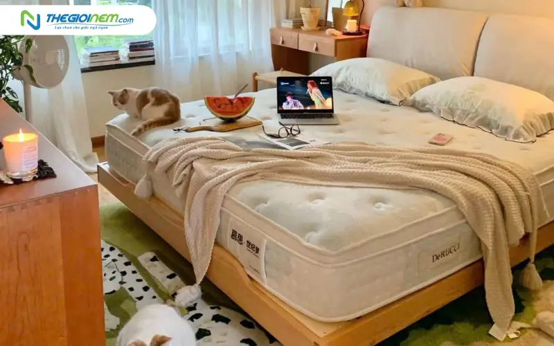 DeRUCCI - Thương hiệu tiên phong trong kỷ nguyên Sleep Tech