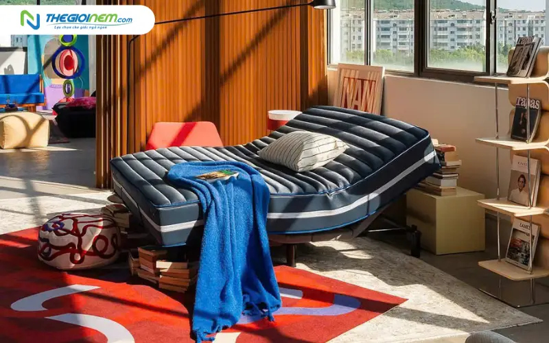 Mua nệm AI T11+ ở đâu chính hãng và có giá tốt nhất?