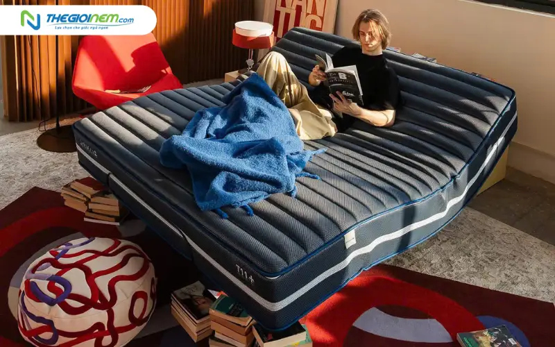 So sánh nệm AI T11+ và các dòng nệm AI khác trên thị trường