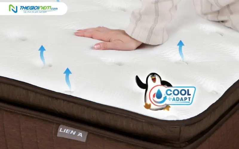 Độ thông thoáng và kiểm soát nhiệt độ