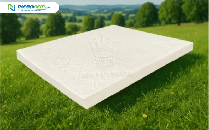 Người yêu thích lối sống xanh (Nệm cao su thiên nhiên)