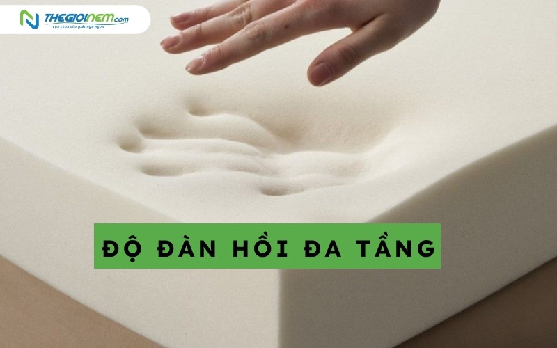 Đàn hồi đa tầng