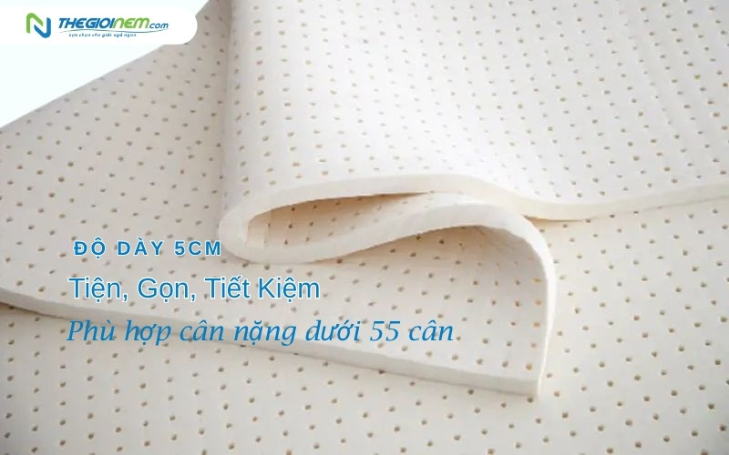 Nệm 5cm