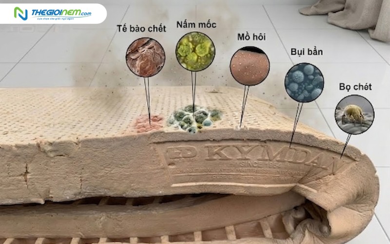 Nệm Kymdan khi quá cũ