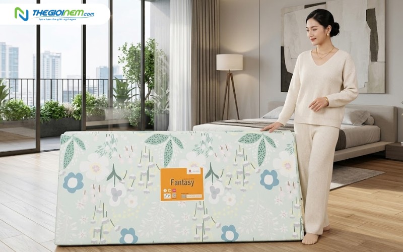 Nệm Vạn Thành bông ép vải cotton