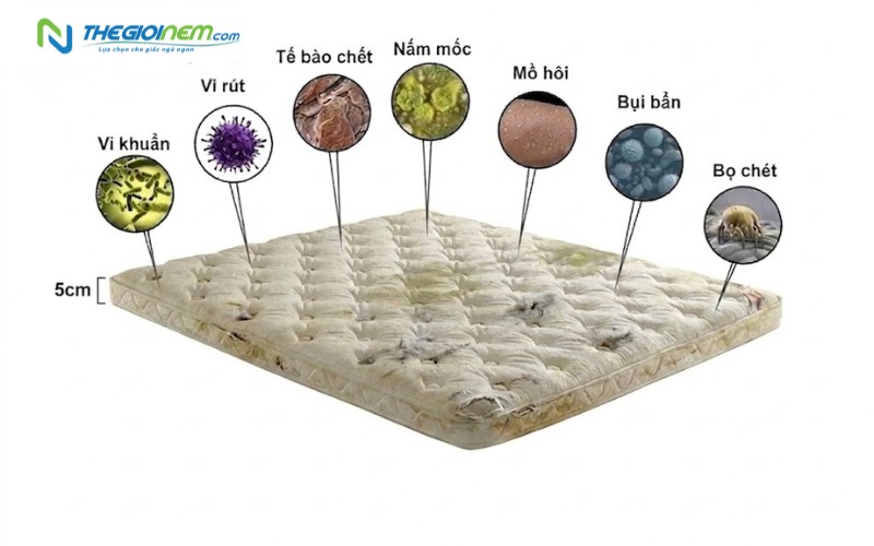 Nguy hiểm tiềm ẩn nệm quá cũ