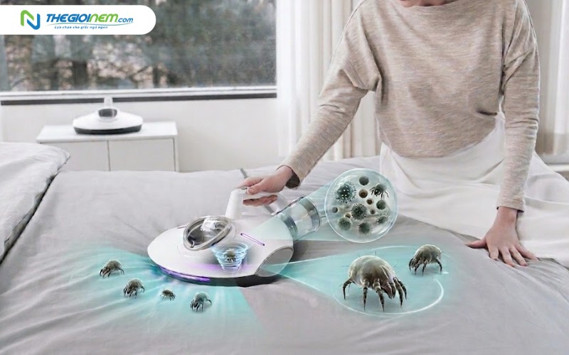 Máy hút bụi Raycop RS3