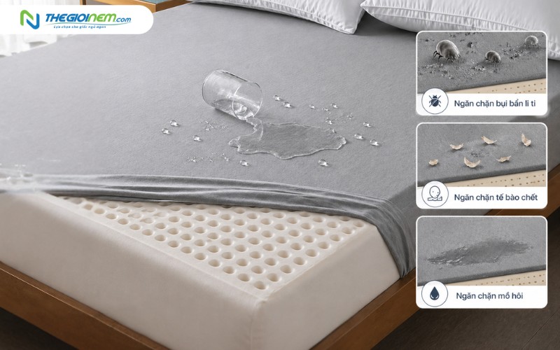 vai trò tấm bảo vệ nệm