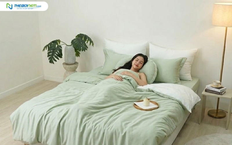 Bộ ga gối Tencel