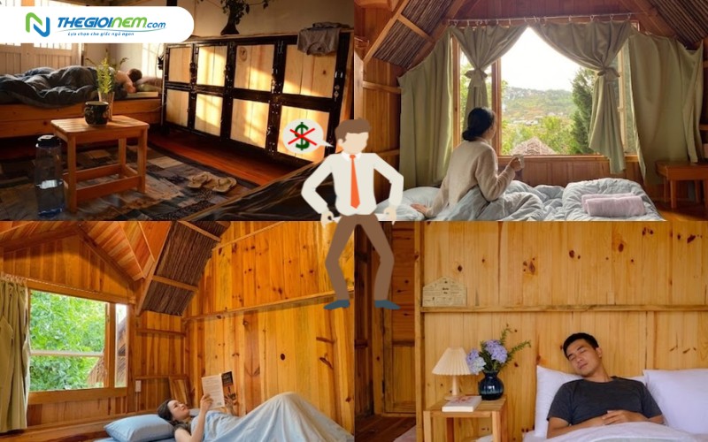 Full Phòng Nhưng Không Thấy Tiền?