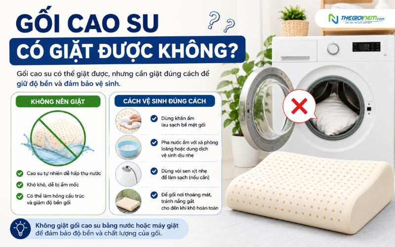 Gối cao su có giặt được không? Câu trả lời là KHÔNG
