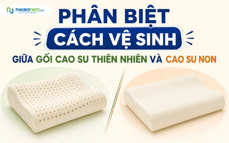 Vệ sinh gối cao su thiên nhiên và cao su non