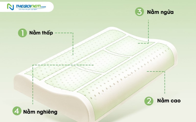 Chức năng gối cao su công thái học