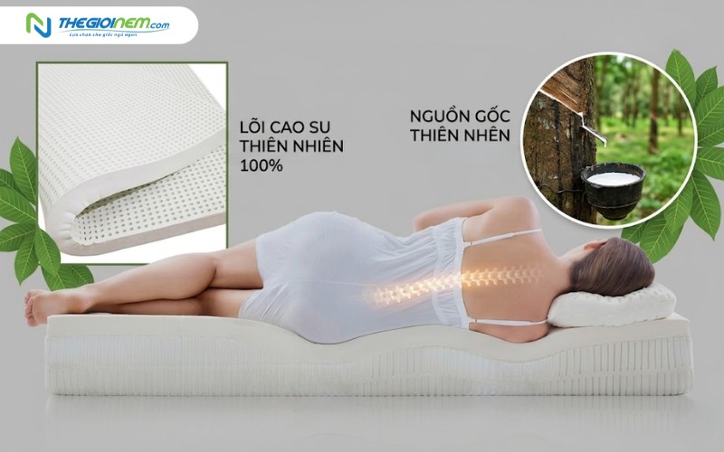 Điểm nổi bật của nệm Đồng Phú