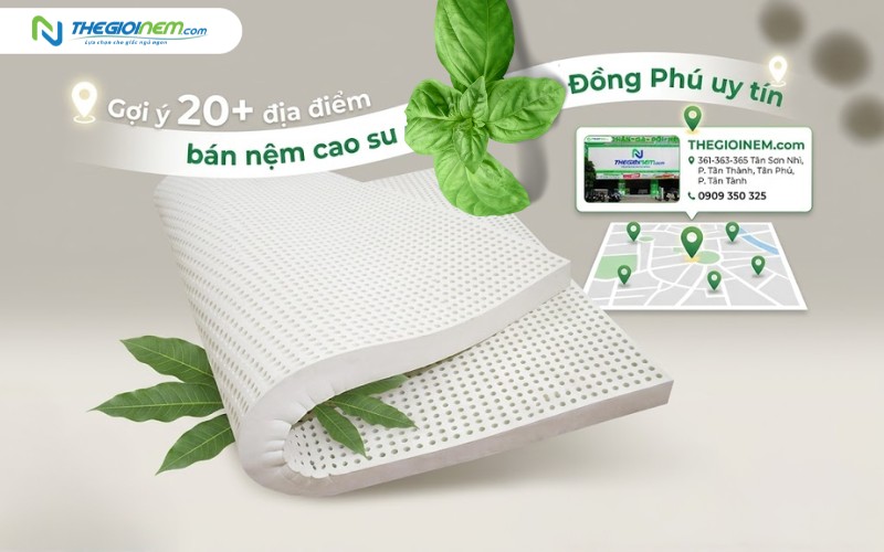 Gợi ý 20+ địa điểm bán nệm cao su thiên nhiên Đồng Phú uy tín