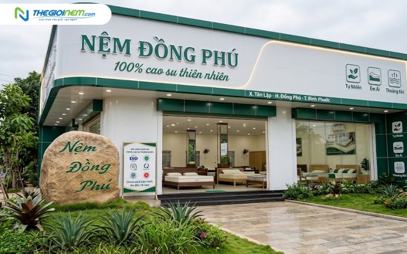 Nệm cao su Đồng Phú