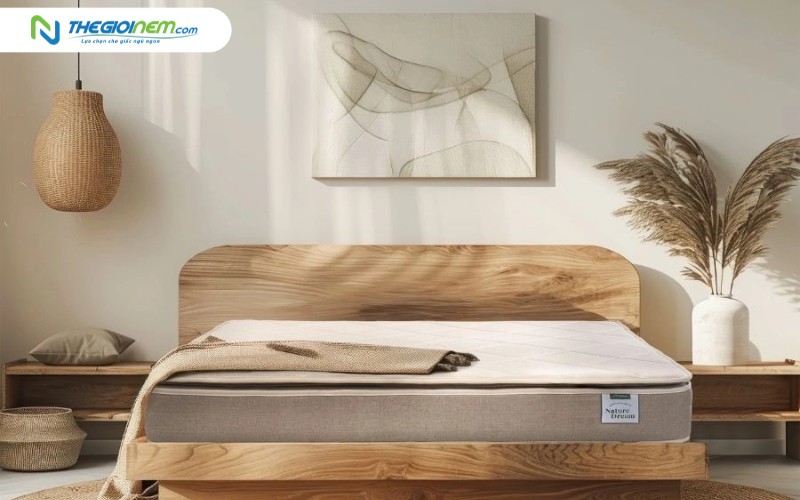 Nệm Foam Everon Artemis Nature Dream Support