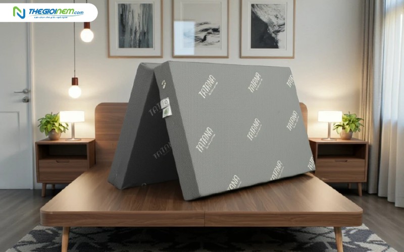 Nệm foam bông TATANA