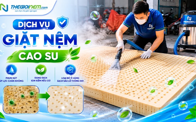 Dịch vụ giặt nệm cao su