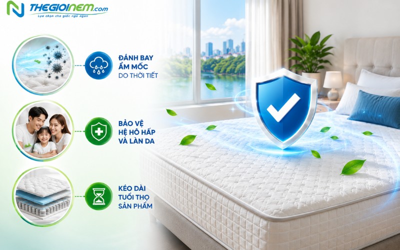 Vì sao cần giặt nệm định kỳ