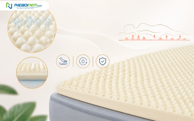 Nệm cao su non massage America