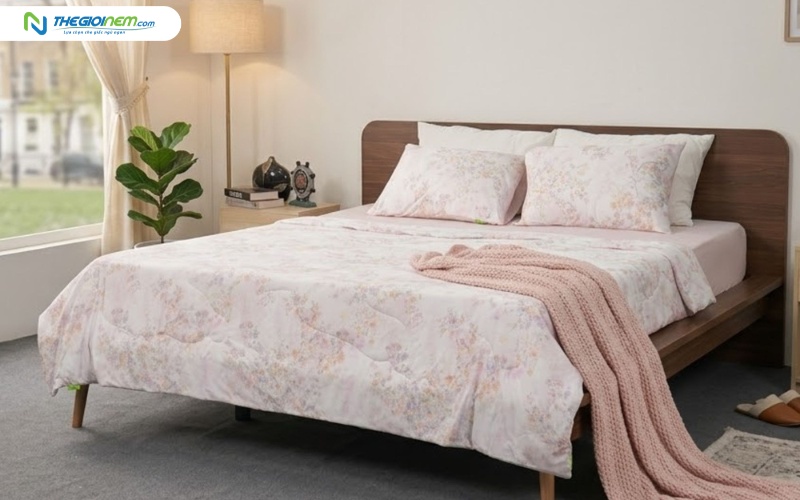 Bộ chăn ga TATANA mềm mát Cool Soft