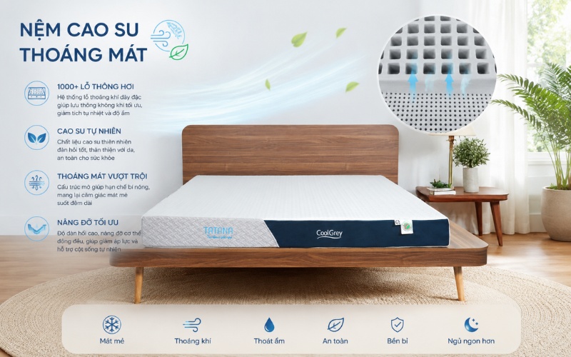 Nệm cao su thiên nhiên - thông thoáng tự nhiên