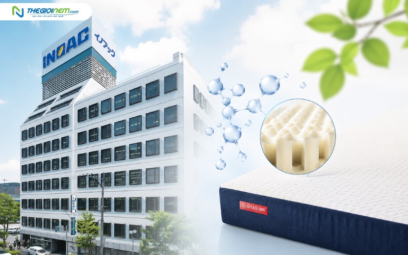 Đôi nét về thương hiệu nệm foam Oyasumi