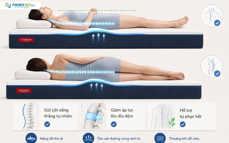 Hỗ trợ duy trì đường cong sinh lý của cột sống
