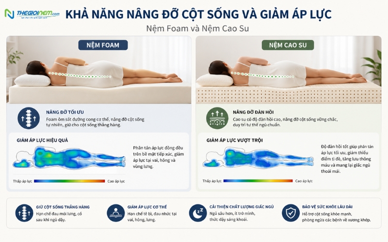Khả năng nâng đỡ cột sống của nệm foam và cao su