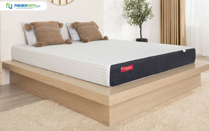 Nệm OYASUMI Premium 1 Mảnh (Thẳng)