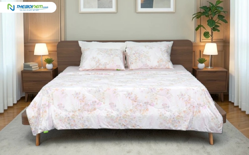 Ga lạnh TATANA Cool Soft CS01