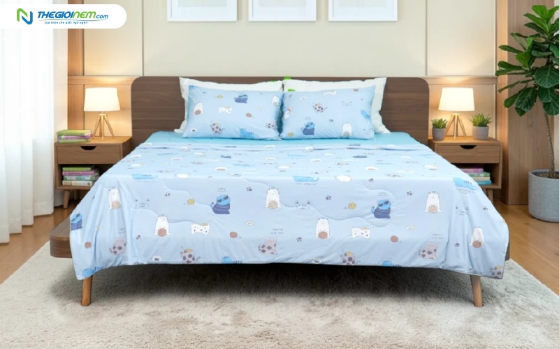 Ga lạnh TATANA Cool Soft CS02