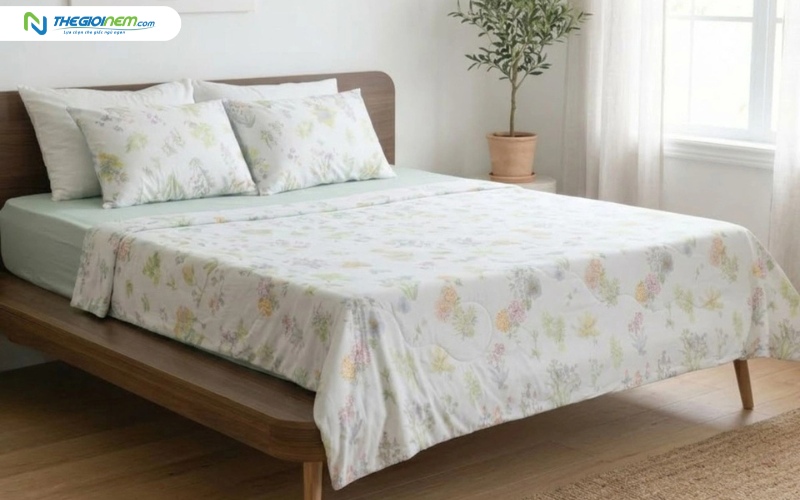 Ga lạnh TATANA Cool Soft CS03