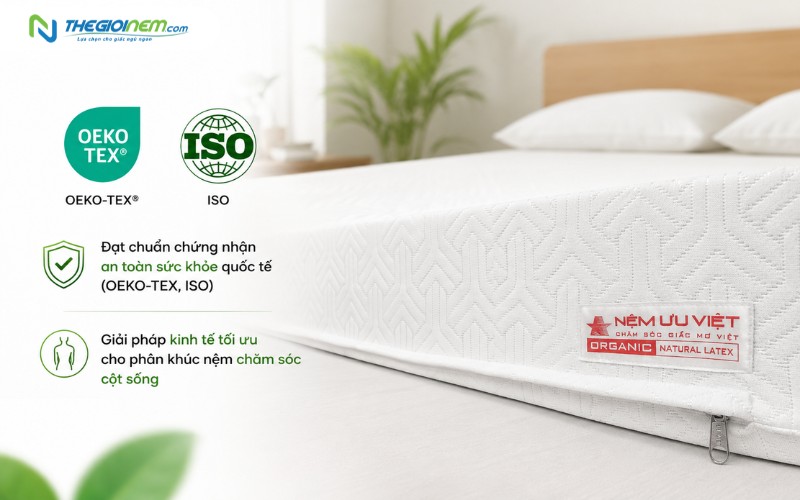 Lý do nệm cao su Ưu Việt dẫn đầu xu hướng lựa chọn hiện nay