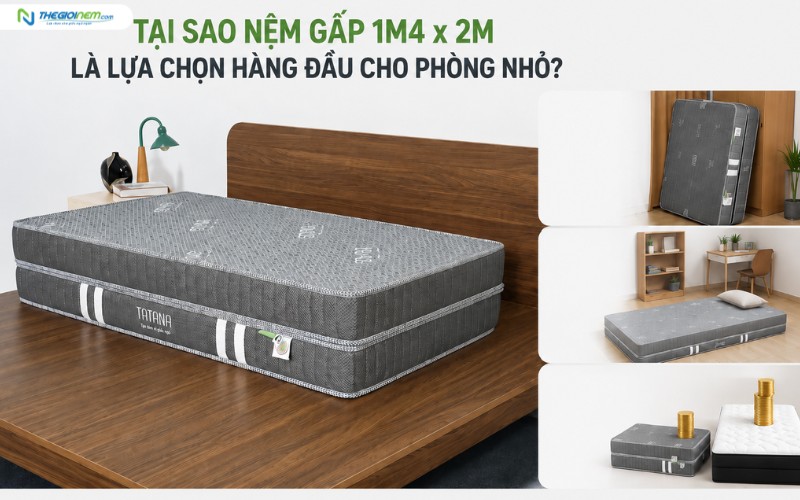 Tại sao nệm gấp 1m4 x 2m là lựa chọn hàng đầu cho phòng nhỏ?