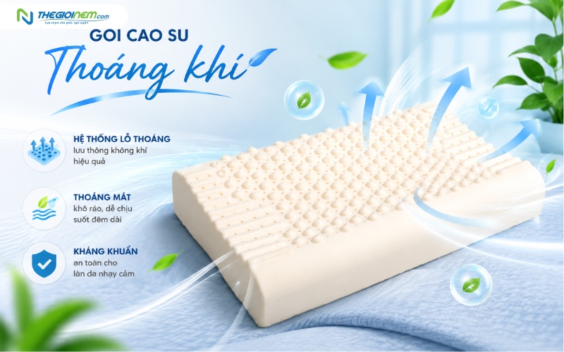Gối cao su cấu trúc bọt hở, bề mặt lỗ thoáng khí