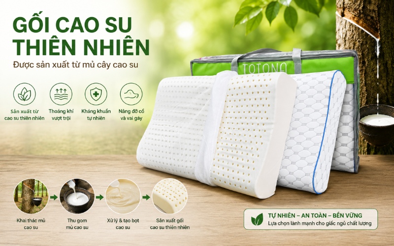 Gối cao su thiên nhiên được sản xuất từ mủ cao su tự nhiên