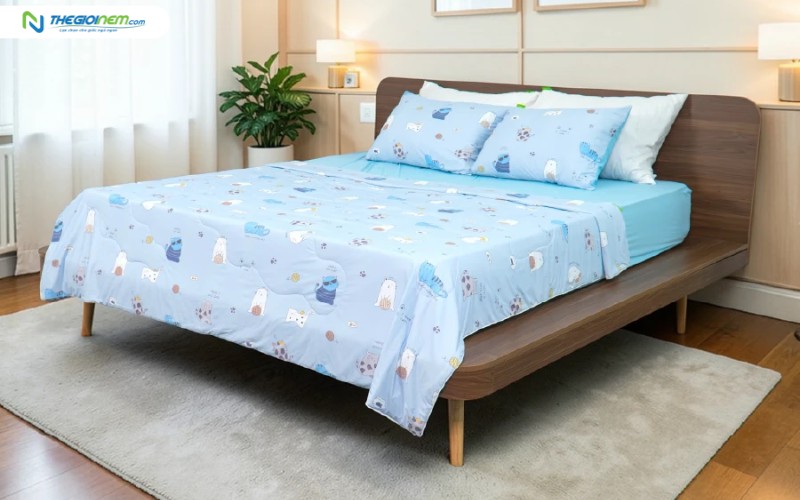Ga lạnh TATANA Cool Soft