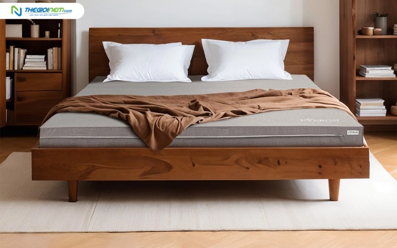 Nệm bông ép Everon Padding