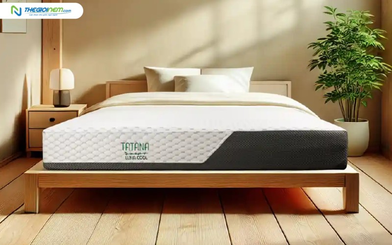 Nệm foam TATANA Luna Cool