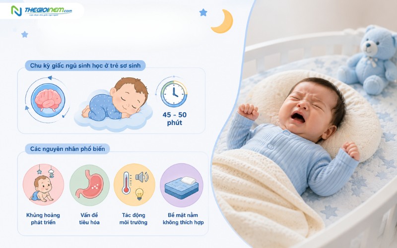 Tại sao trẻ sơ sinh ngủ không sâu giấc?