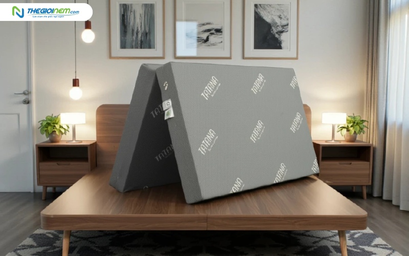 Đệm foam bông TATANA