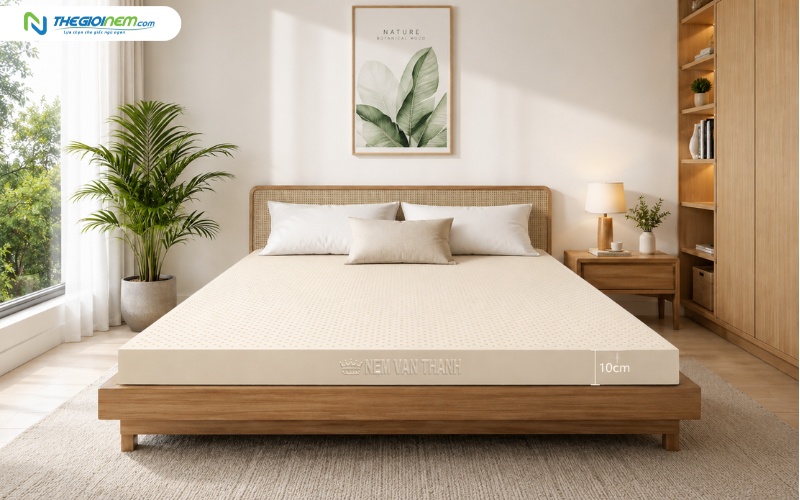Nệm cao su Vạn Thành 10cm phù hợp nhiều kiểu giường