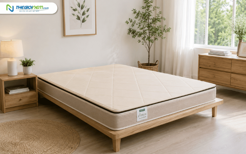 Đệm foam Everon