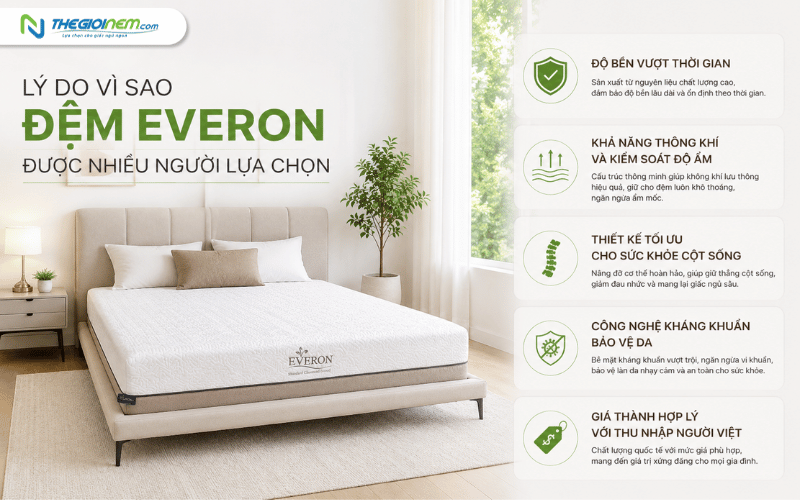 Lý do đệm Everon được nhiều người lựa chọn