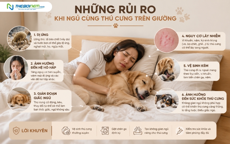 Có khả nhiều rủi ro khi ngủ cùng thú cưng trên giường