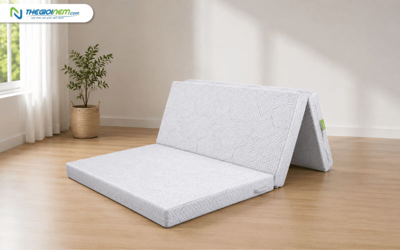 Nệm bông ép gấp 3 Eco Cool TATANA