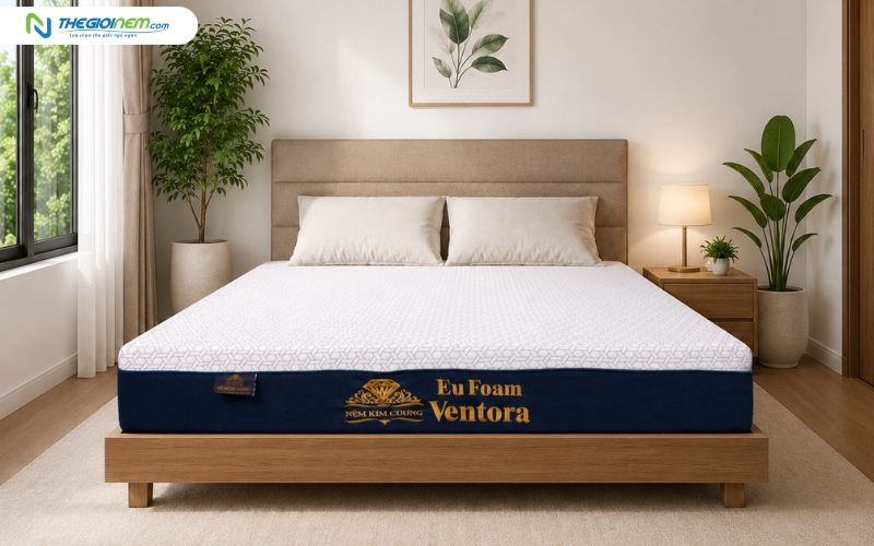 Nệm Kim Cương Eufoam Ventora